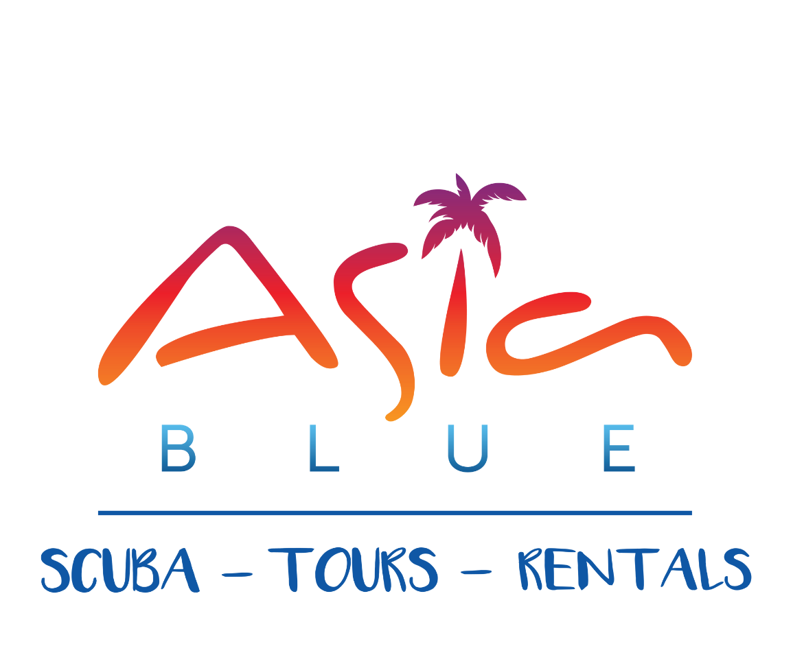 Go Asia Blue