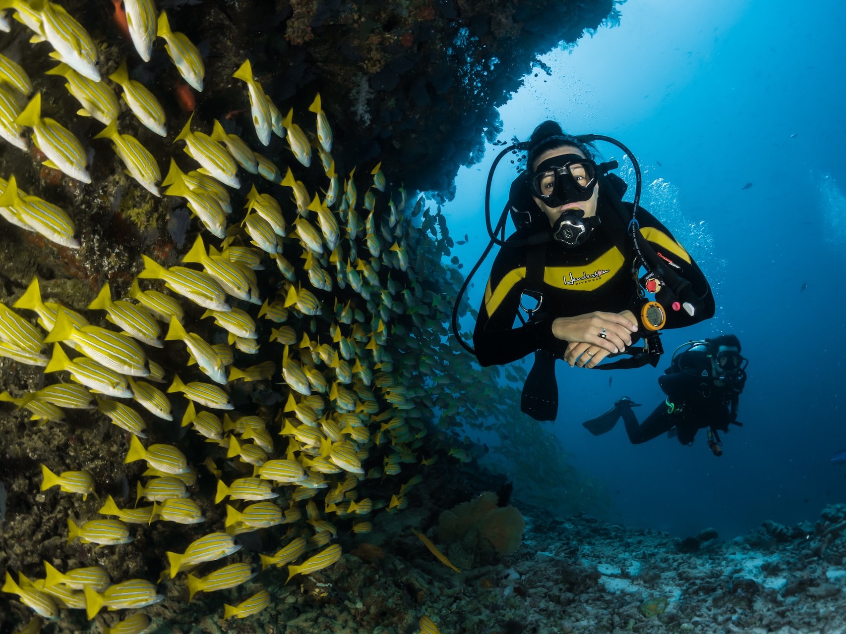 two people scuba diving underwater