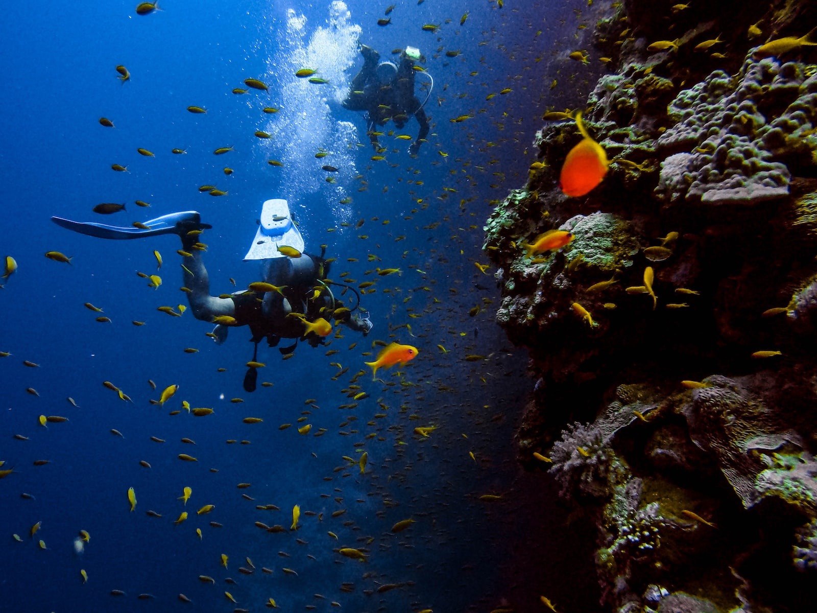 fun diving koh phanagn