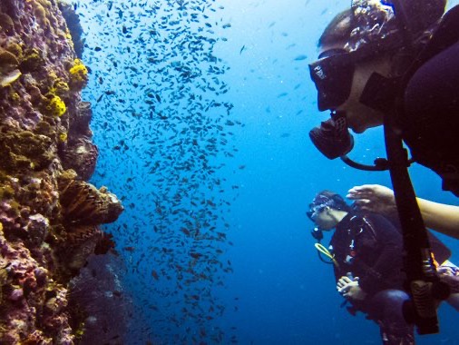 diving koh tao