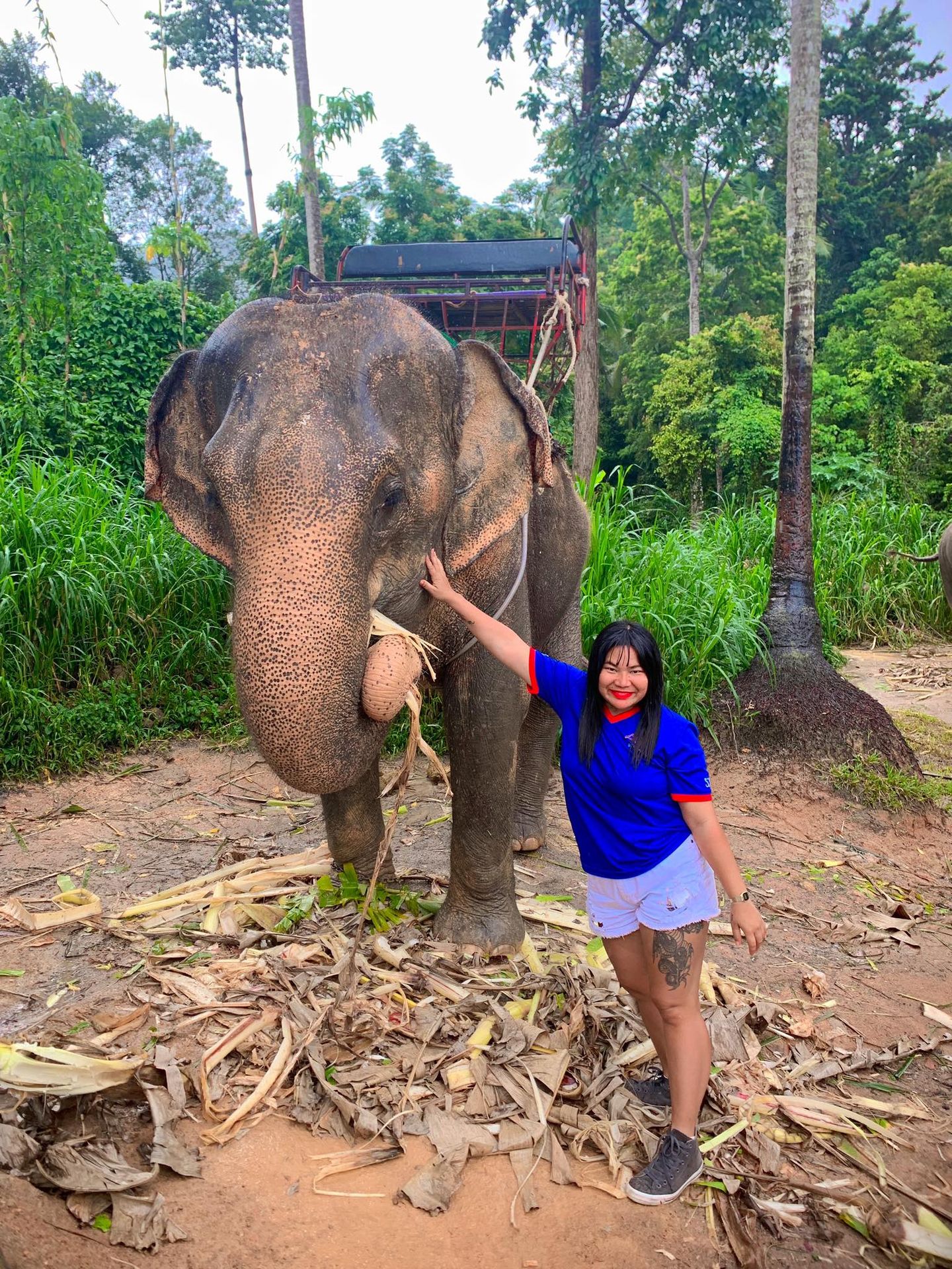 elephant koh phangan