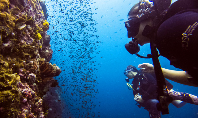 PADI Scuba Diver Course