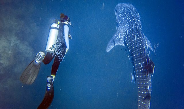 PADI Advanced Open Water Course