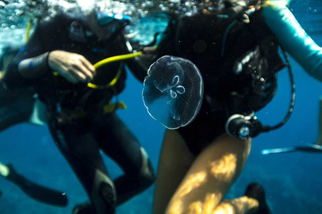 PADI Advanced Open Water Course