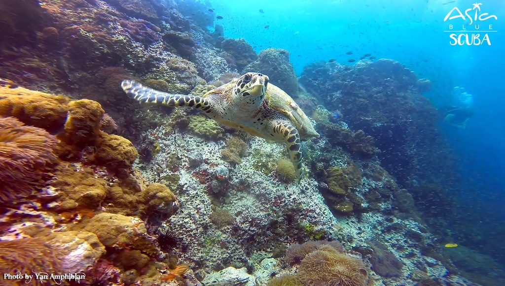 PADI Advanced Open Water Course