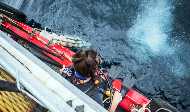 PADI Rescue Diver Course