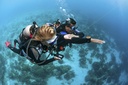 PADI Navigation Course