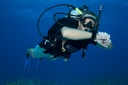 PADI Navigation Course