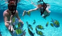 Snorkeling