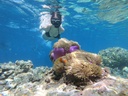 Angthong Marine Park Tour