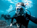 Fun Diving Sail Rock