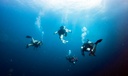 PADI Specialty Instructor Course