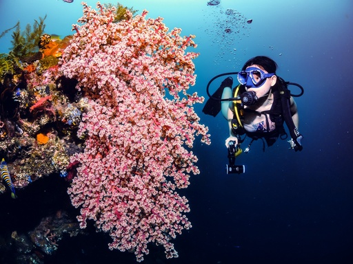PADI Discover Scuba Diving